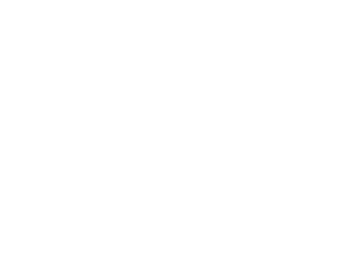 IQ Navigation AG